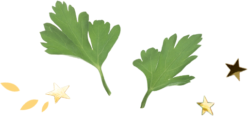 Recept - Parsley (542x284)