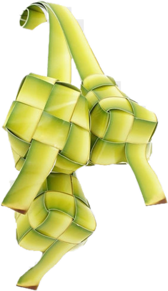 Sign In To Save It To Your Collection - Transparent Background Ketupat Png (544x942)