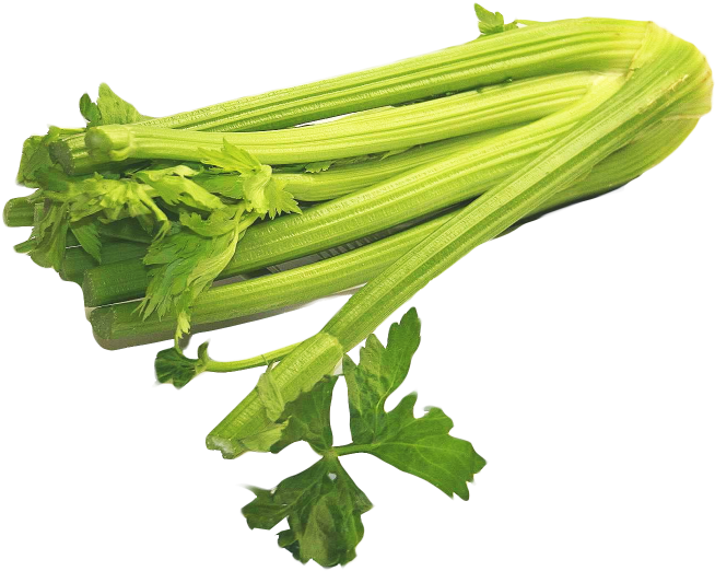 Ingredients - Celery Png (700x700)
