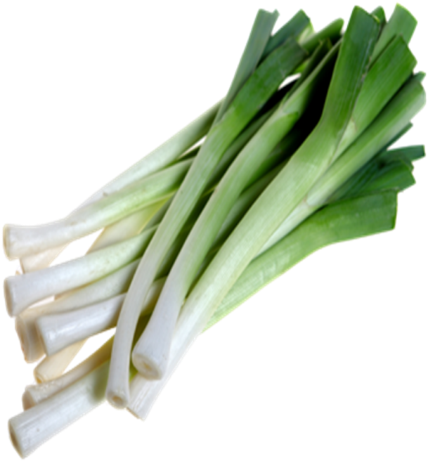 Ingredients - Welsh Onion (700x700)