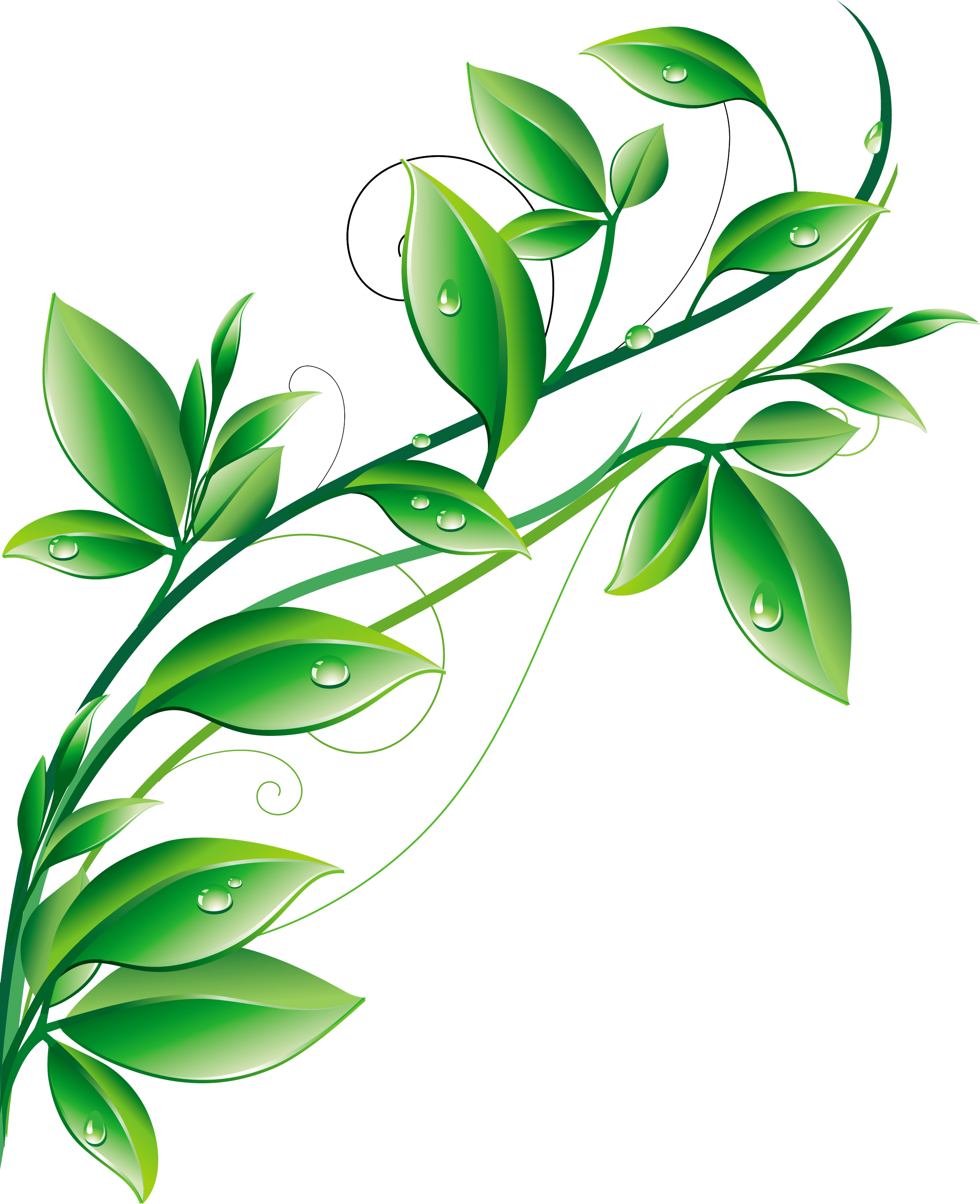 0 1a2584 394bc531 Orig - All Images Free Download (2388x2932)