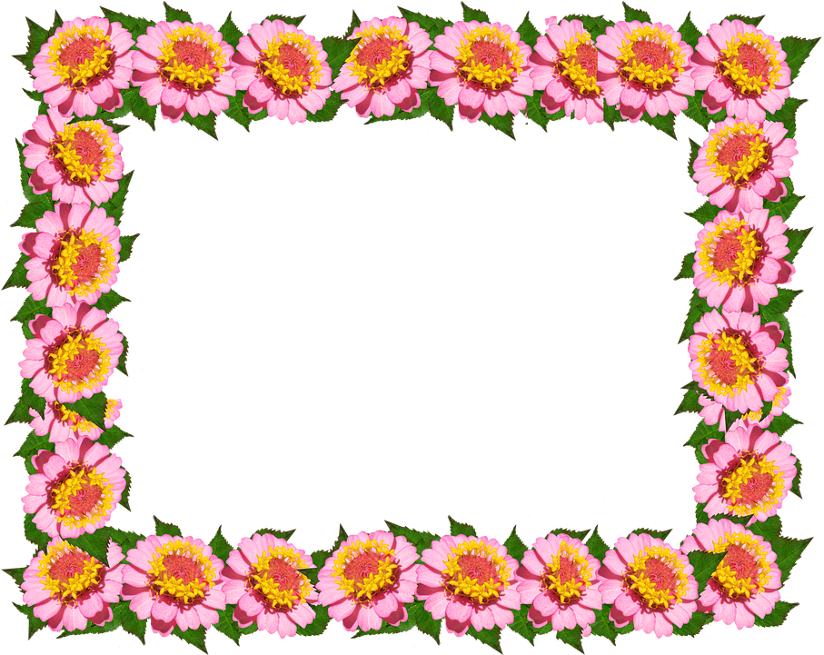 Frame, Border, Pink Floral, Decoration - Tulip Colorful Flower Frames And Borders (916x720)