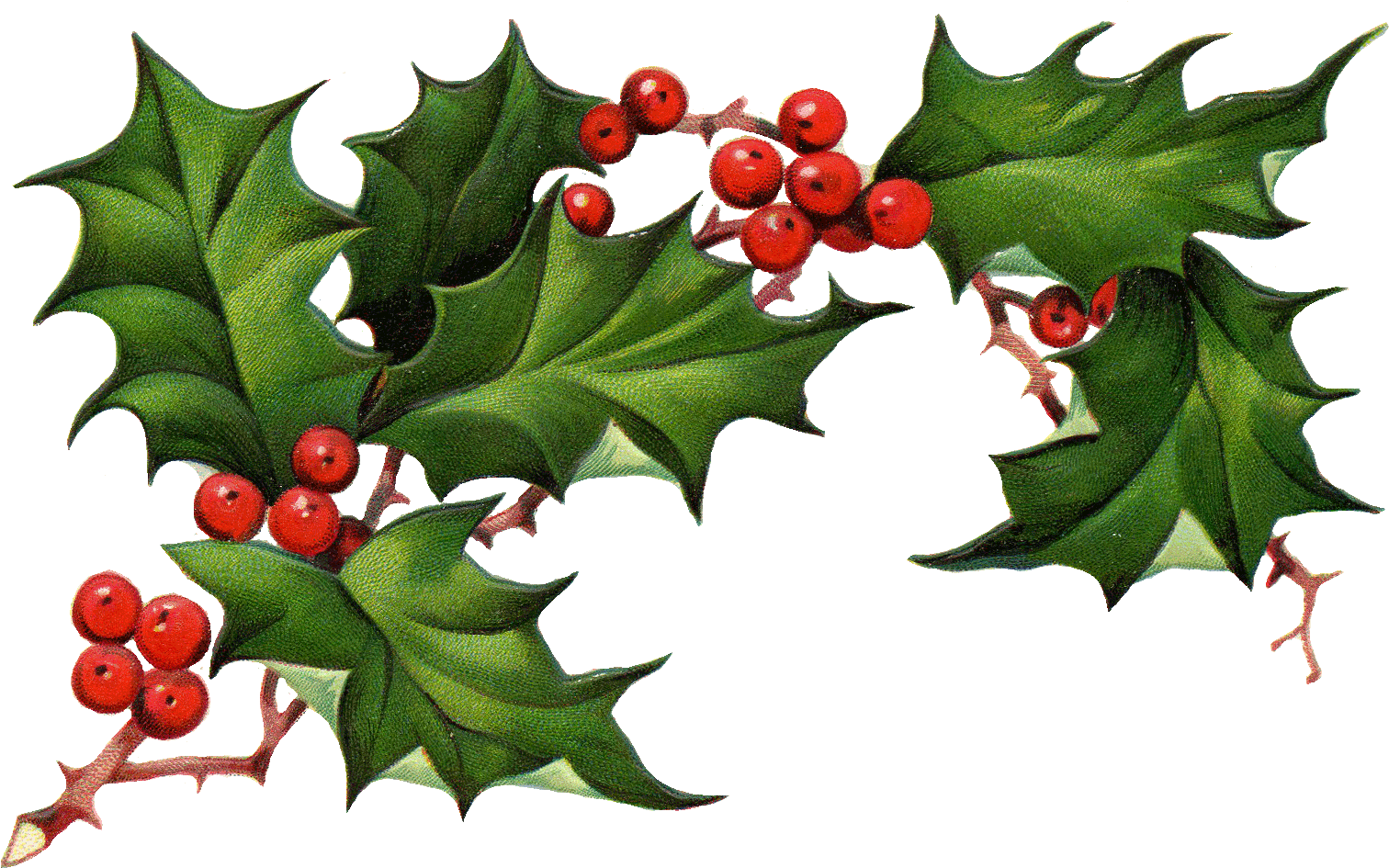 Berry - Black Stag Deluxe Snowflake Design Silicone Mold (1532x965)