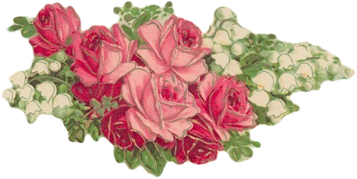 {click On Png Image To Download/save} - Garden Roses (505x254)