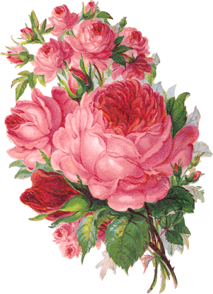*toprak Ve Ahşap* - 3drose Llc 8 X 8 X 0.25 Inches English Roses Watercolor (823x1138)