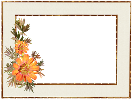 Gold Frame Border Design - Frame (438x340)