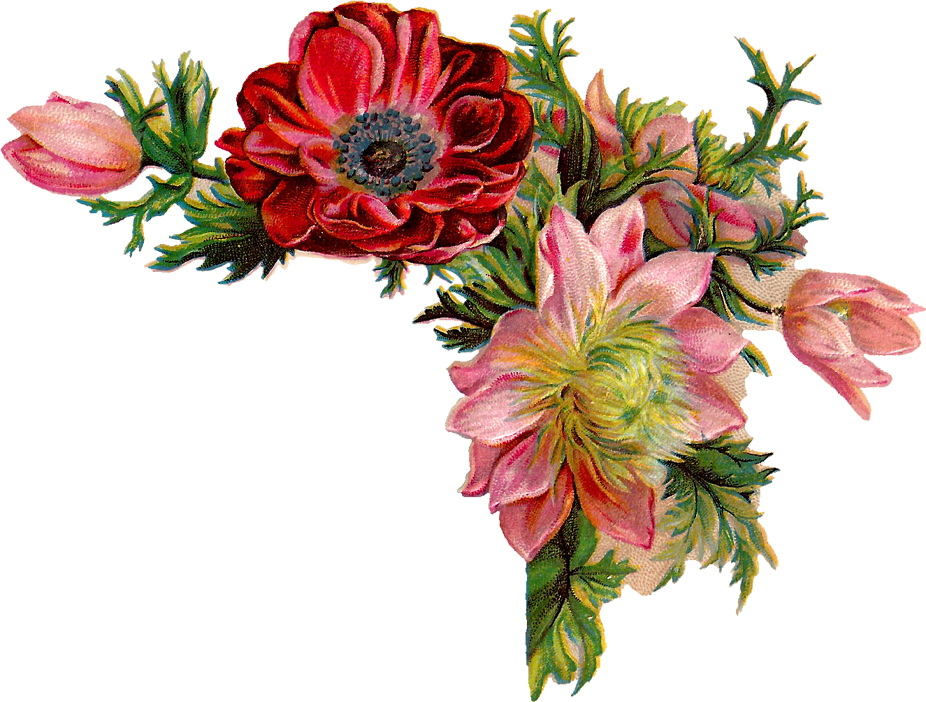 Aren't These Digital Flower Images Beautiful I Created - Vintage Flower Corner Png (1395x1083)