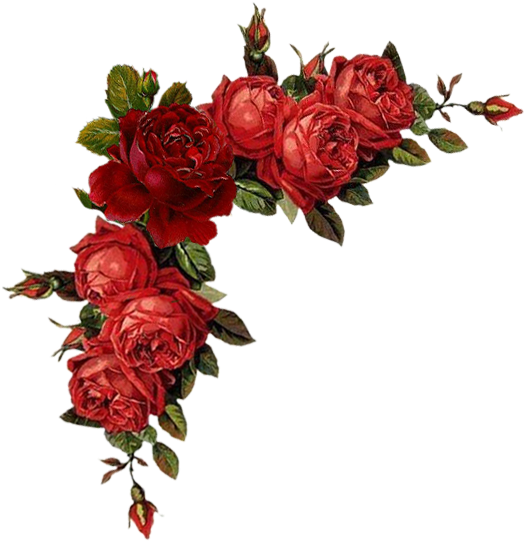 Laminas Para Decoupage - Red Flowers Vintage Png (594x568)