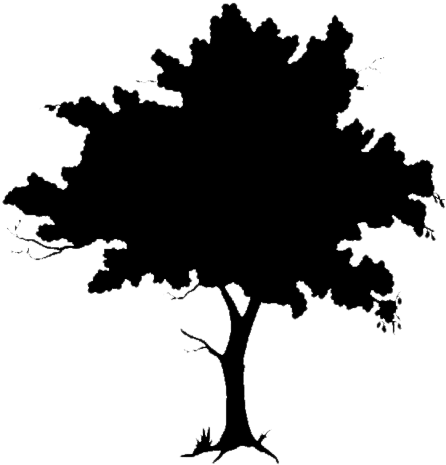 African Tree Silhouette Png For Kids - Clip Art Tree Silhouette (482x500)