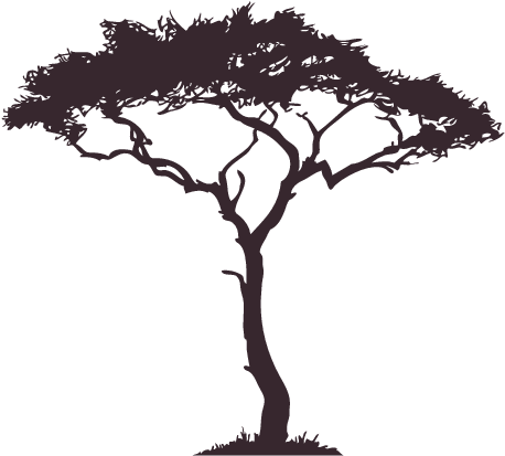 African Tree Decal - Trees In Africa Drawing (707x440)