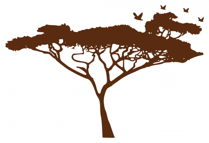 African Tree Silhouette Png For Kids - Le Leopard Chasse La Nuit (700x480)