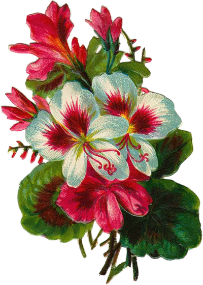 Vintage Flower Bouquet Png Isolated Transparent Background - Bon Week End (400x560)
