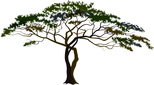 Pin African Tree Clipart - Savana Tree Png (600x340)