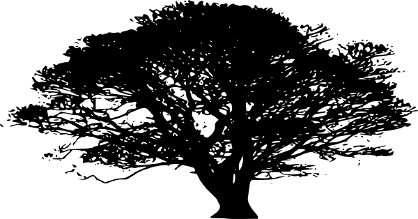 Oak Tree Silhouette Png (600x314)