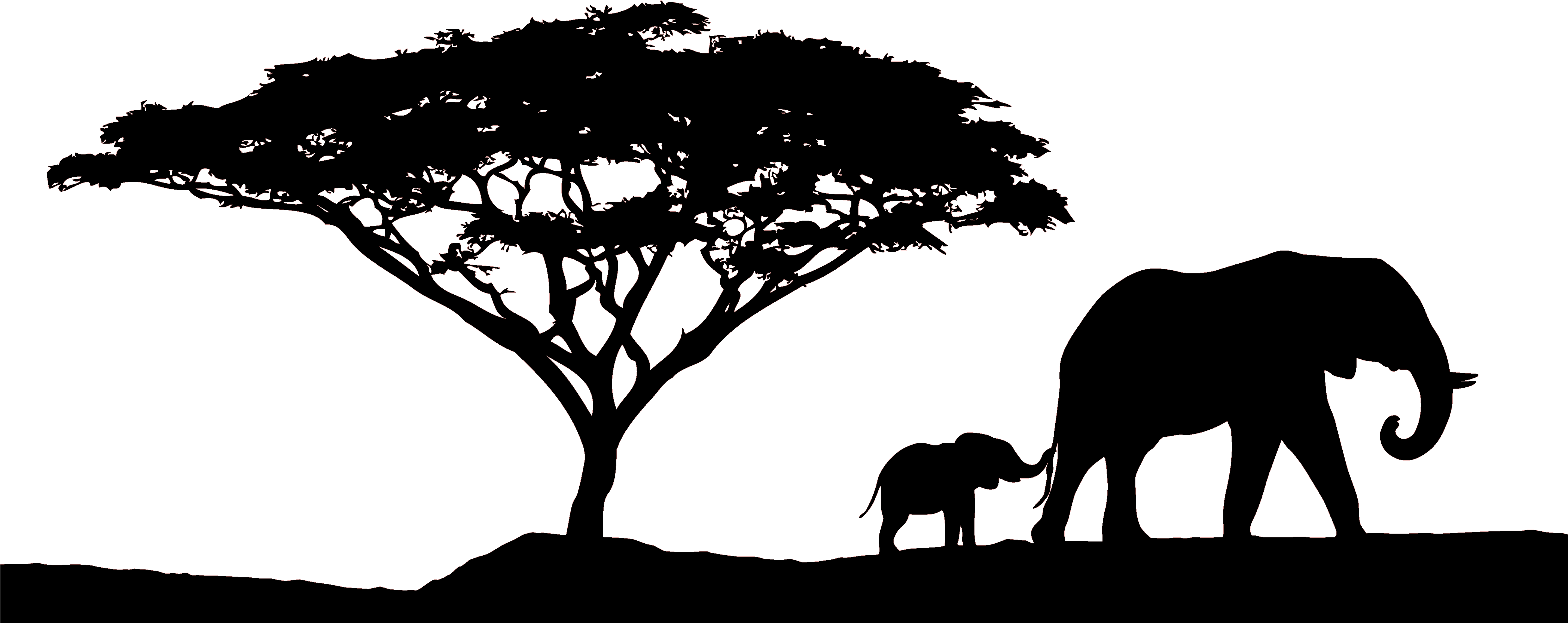 African Sunset Safari - African Tree Silhouette Png (4189x1700)