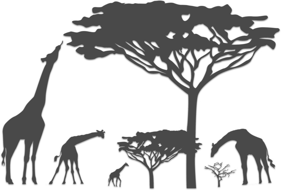 Contact Details - Giraffe Silhouette With Tree (953x644)