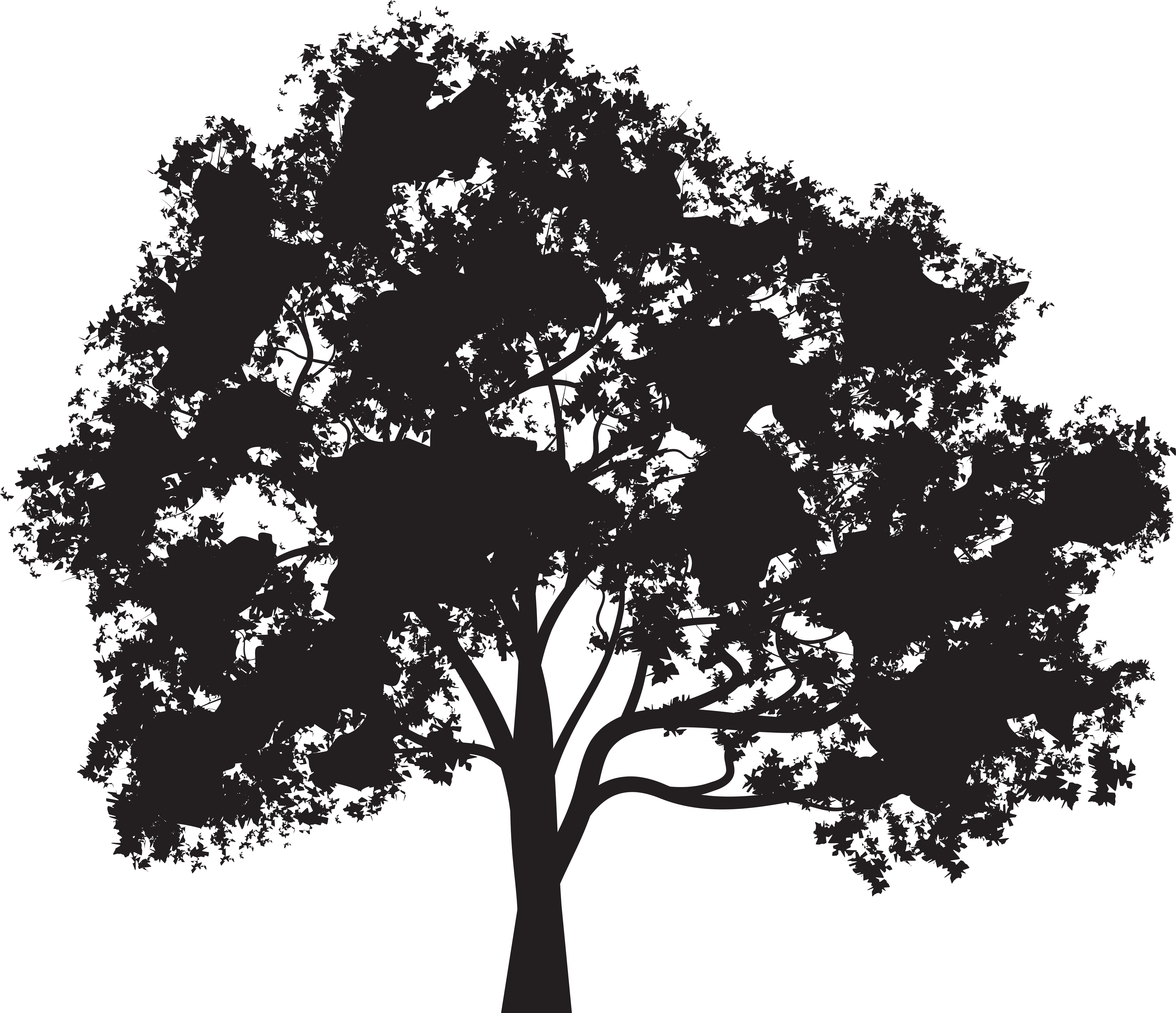 Tree Silhouette Png Clip Art Image - Tree Silhouette Png Clip Art Image (8000x6936)