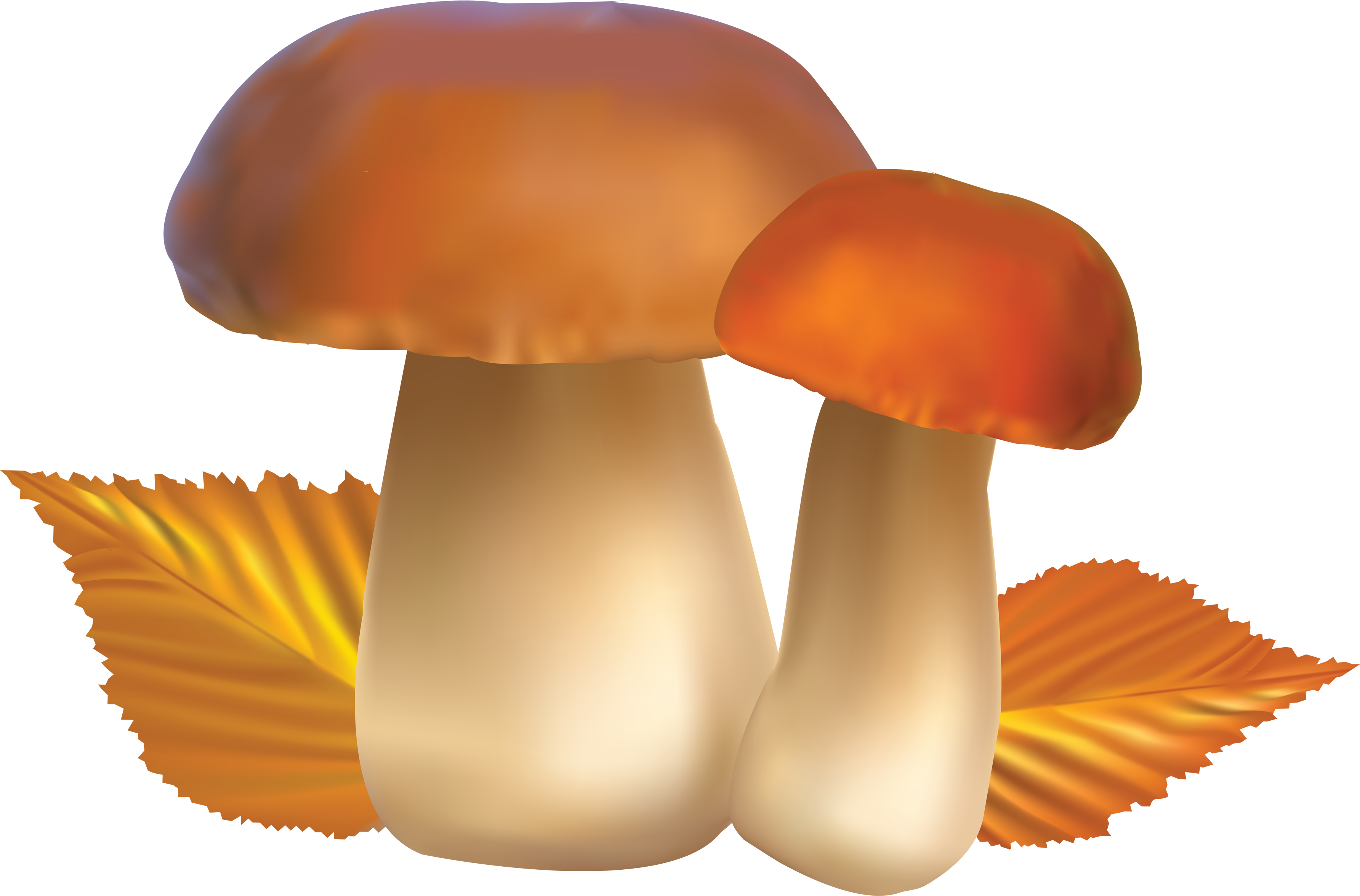 Download - Autumn Mushroom Clipart (3569x2352)