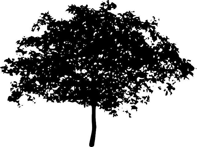 Silhouette Tree, Bush, Nature, Leaves, Trunk, Silhouette - Voice Of The Children In The Apple Tree (640x478)