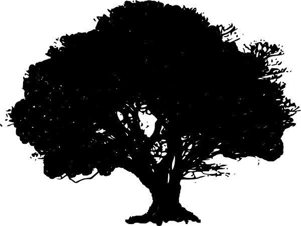 Oak Tree Silhouette Clip Art Free - Oak Tree Silhouette Vector (600x451)