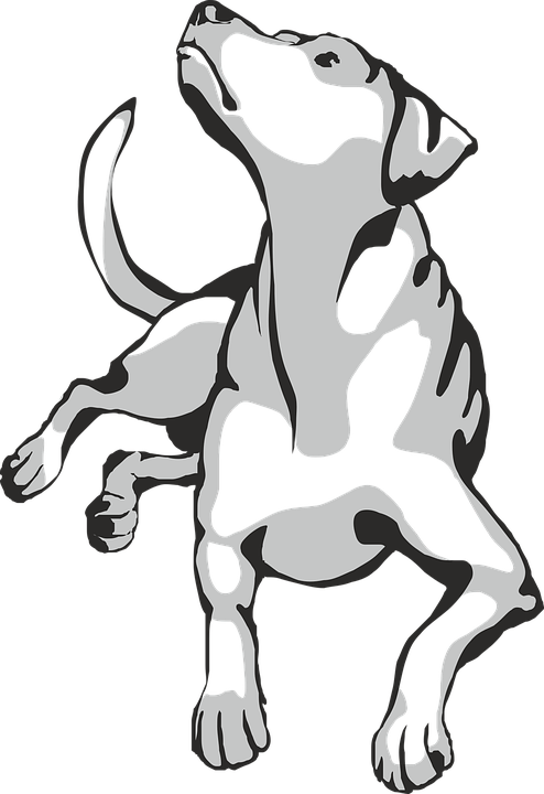 Mean Dog Clipart - Hunde Tasse Mit Spruch Glück Anfassen (494x720)