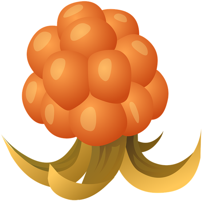 Berries Cliparts 7, Buy Clip Art - Cloudberry Png (720x720)