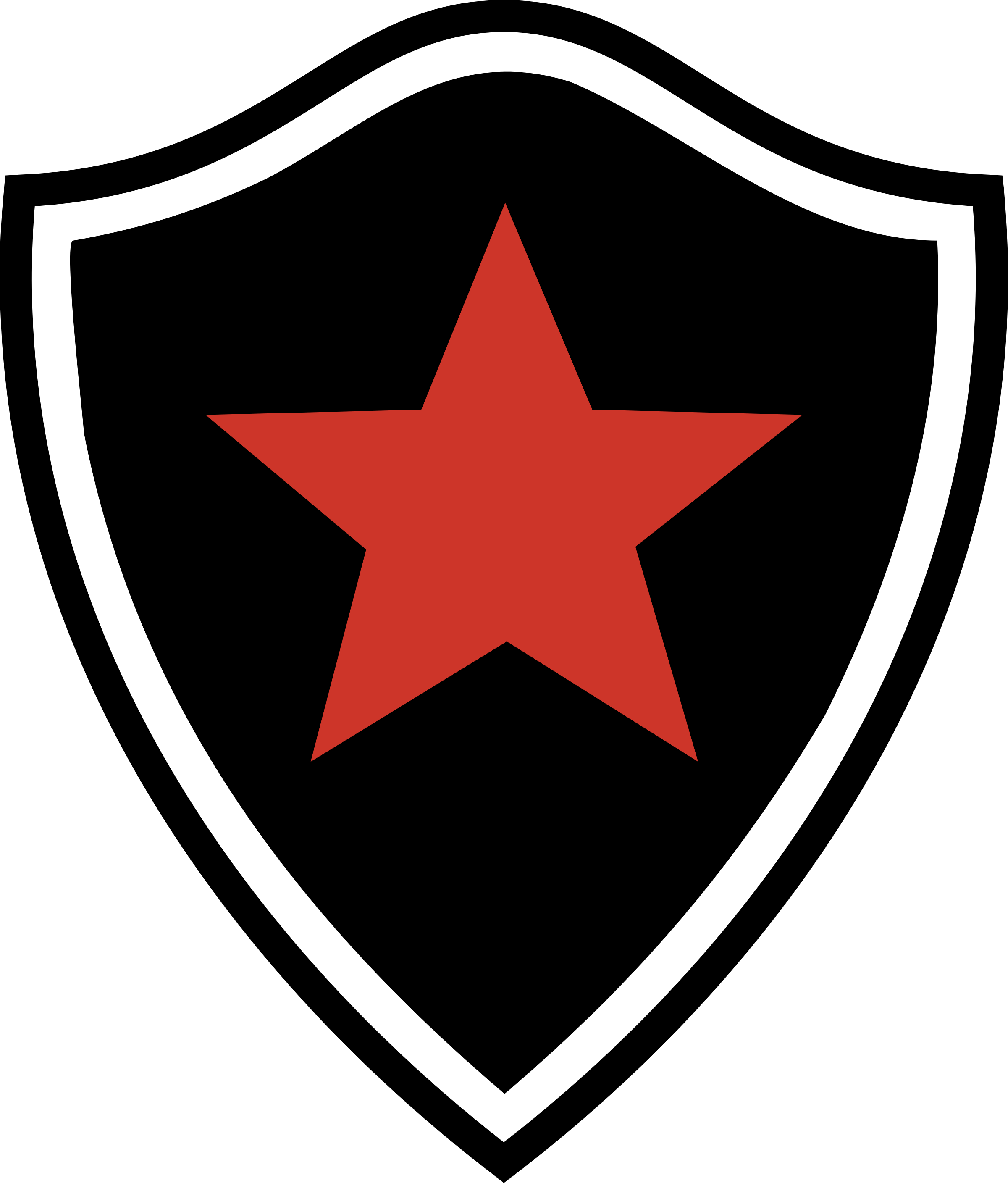 Botafogo Fc Pb Logo Png Transparent - Botafogo Pb (2400x2816)