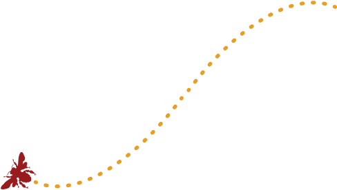 Buzz - Amber (500x300)