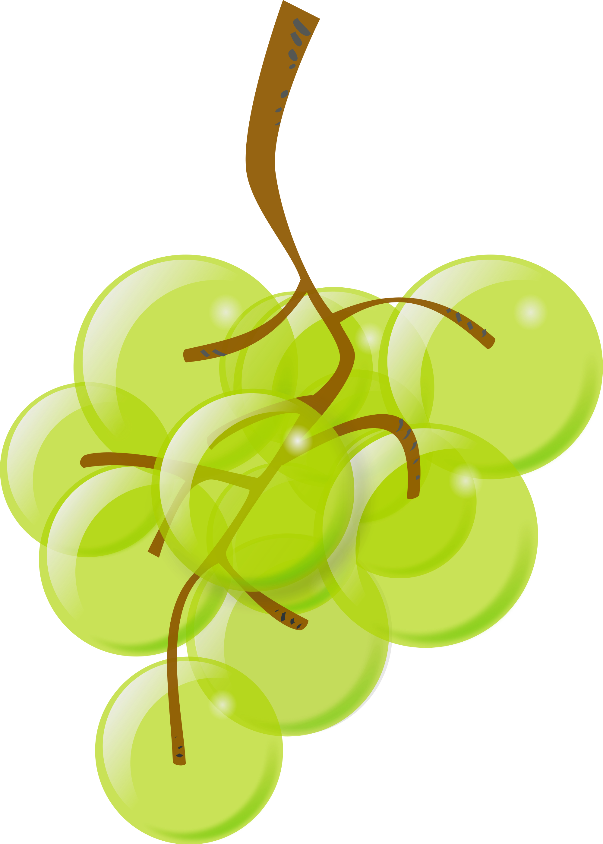Green Grapes - Green Grapes Clipart (2000x2799)