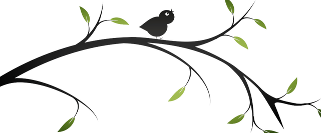 Dee Pb Photography - Branch Out Png (641x266)