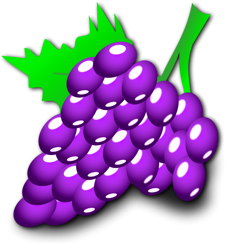 Nicubunu Grapes Image - Purple Grapes Shower Curtain (800x800)