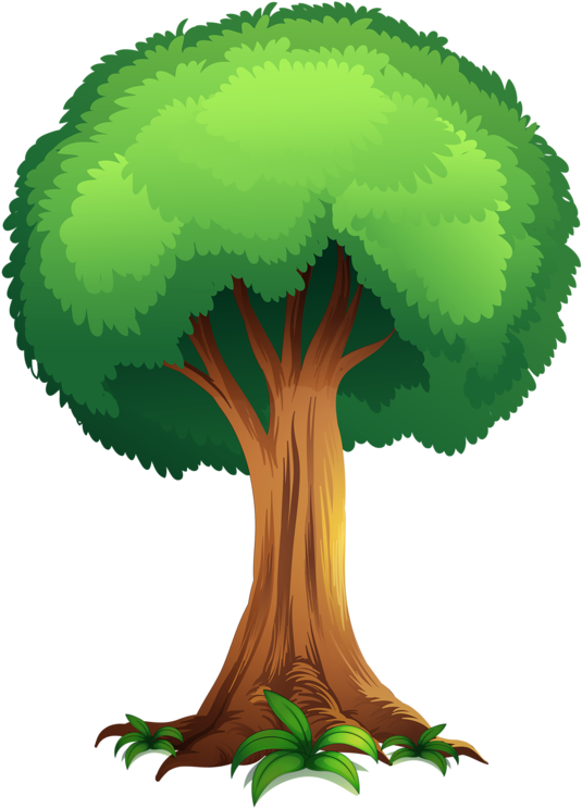 Tree Clip Art Snowy Pine Tree Clipart 4 Clipartbold - Tree Clipart (605x800)