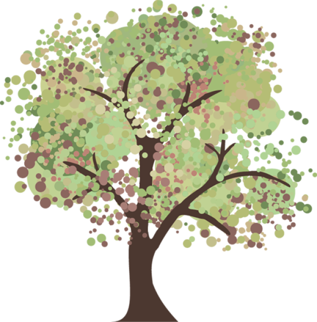 Fall Trees Clipart - Free Clipart Tree Flowers (640x652)