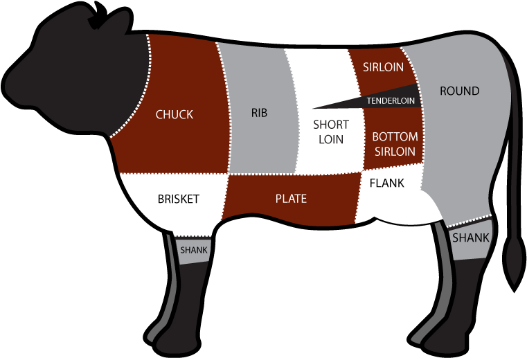 Cow Cuts - Part Of The Cow Is Brisket (799x560)