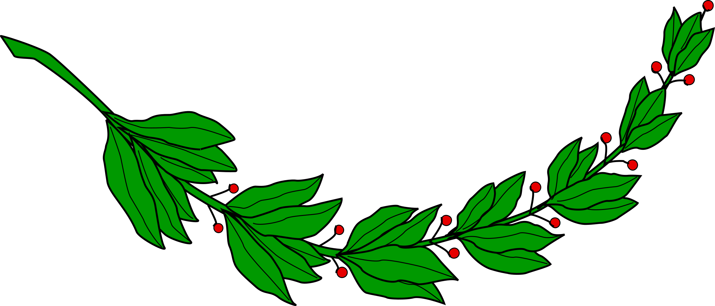 Laurel Branch 5 - El Salvador Clip Art (2400x1029)