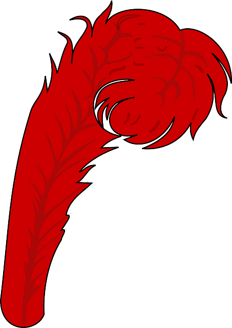 Feathers Red, Feather, Soft, Feathers - Coat Of Arms Feathers (453x640)