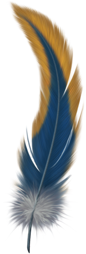 Single Peacock Feathers With Flute Png - Feather Png (512x512)
