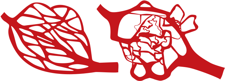 Healthy Vessels Have An Orderly Distribution And Size - Blood Vessels Clipart Png (730x281)