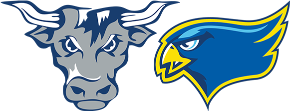 News - Blue And Gold Falcon Transparent (589x324)