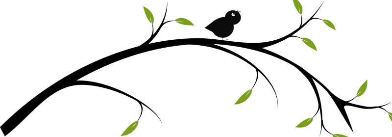 Pin Tree Branch Clipart - Tree Branch Clip Art (800x279)