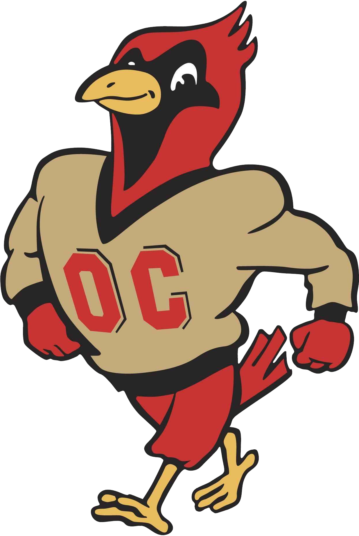 Cardinals, Otterbein University Div Iii, Ohio Athletic - Otterbein University Cardinal (1843x1843)