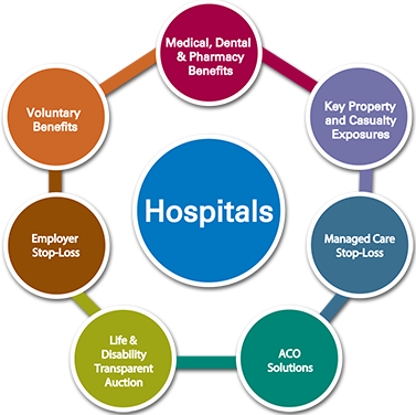 Hospital Insurance Solutions - Integrated Healthcare Delivery System (377x376)