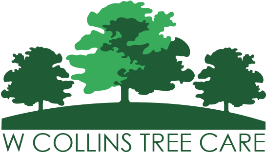 Shady Square Sticker 3" X 3" (567x351)