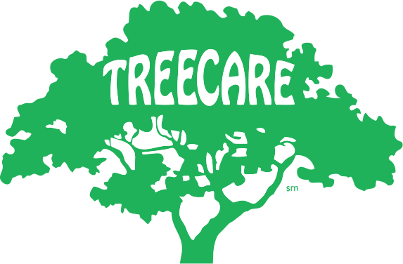 Eid Ul Adha 2011 (573x376)