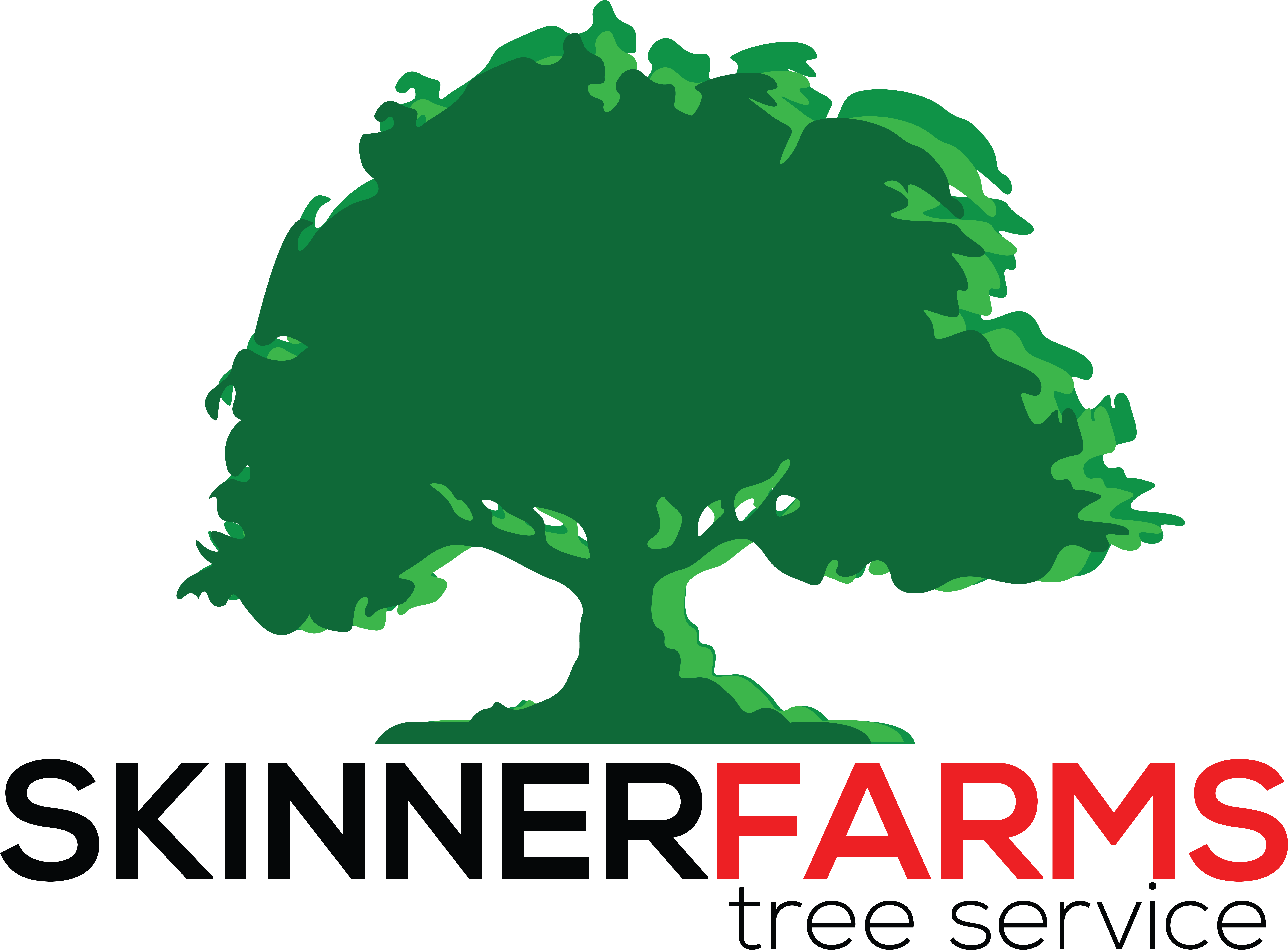 Skinner Farms Tree Service - Skinner Farms Tree Service (8232x6214)