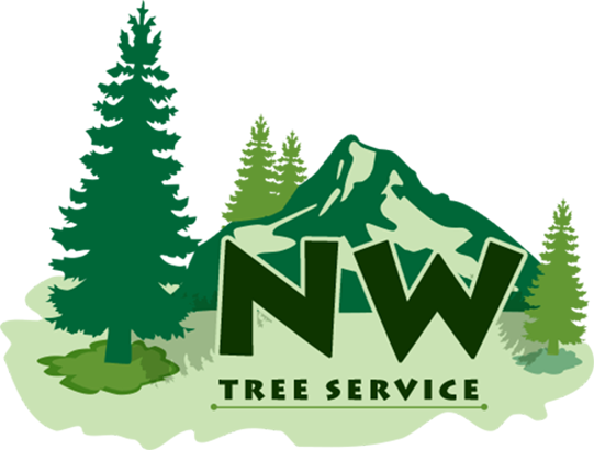 Nwtreeremoval - Arborist (541x410)