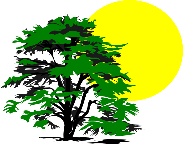 Tree And Sun Clip Art (600x473)