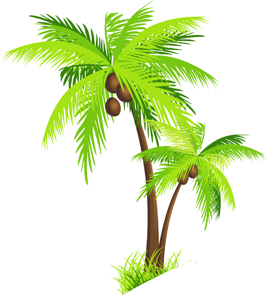 Coconut Tree Clip Art - Coconut Tree Clipart Png (928x1025)