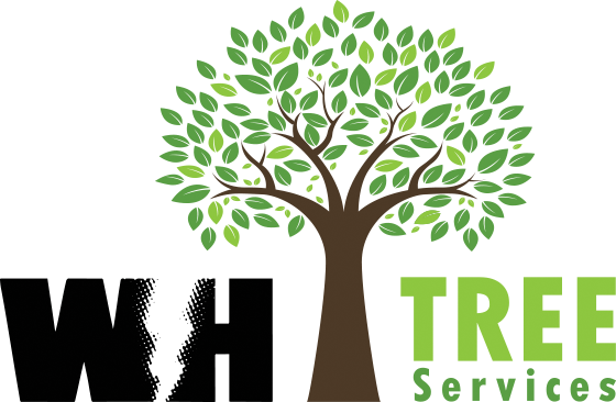 Keep Your Landscape Looking Beautiful With Professional - Flooring & Furniture Design Center Of Hickory (560x366)