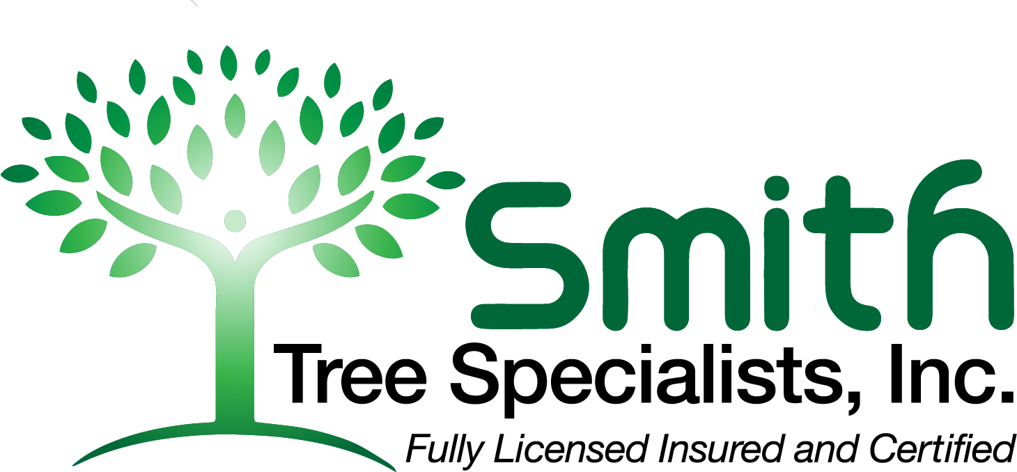 Contact Us For Specialized Tree Care - Scott Specialized Catalogue Of United States Stamps (1460x678)